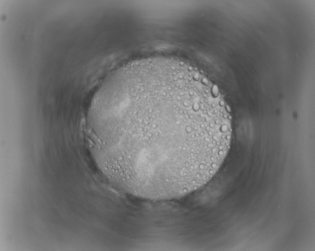 X0000060771397200512082022