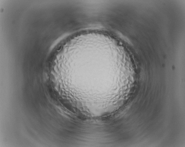 X0000060771400200512082022