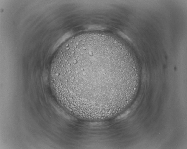 X0000060771401200512082022