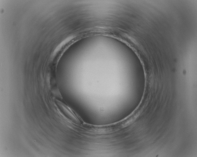 X0000060771402200512082022