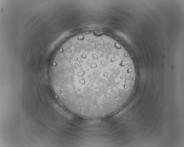 X0000060771403200512082022