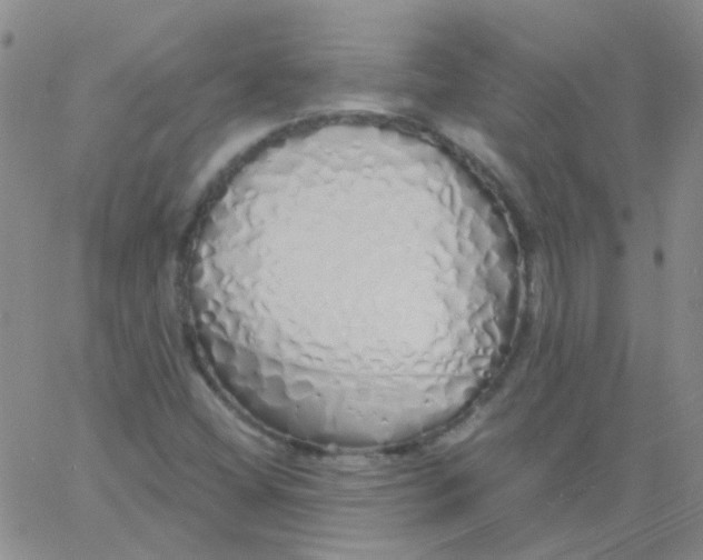 X0000060771404200512082022