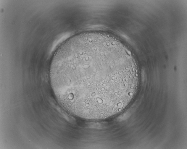 X0000060771405200512082022