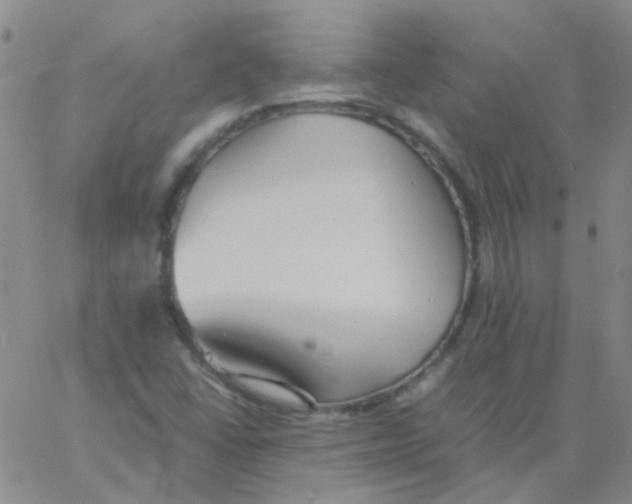 X0000060771406200512082022