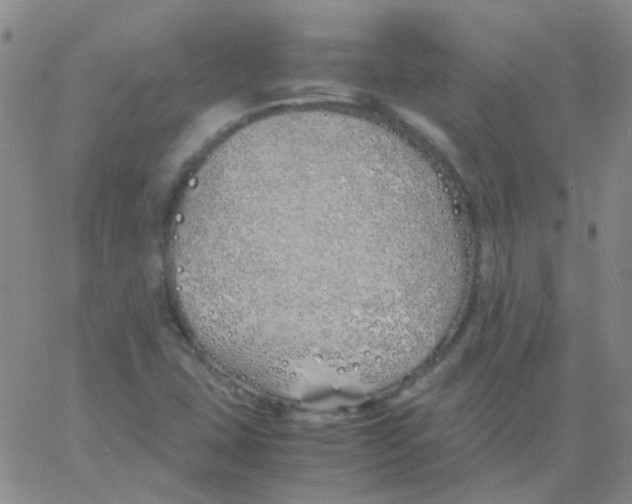 X0000060771407200512082022