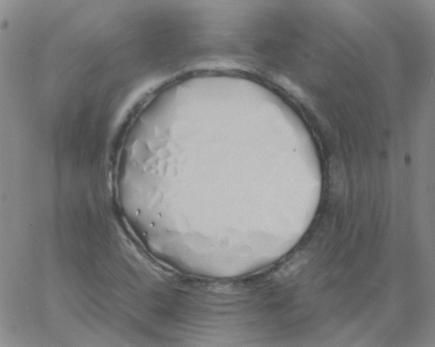 X0000060771408200512082022