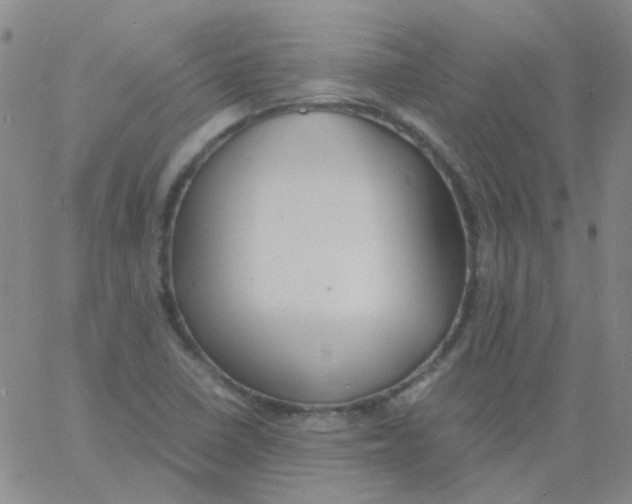 X0000060771410200512082022