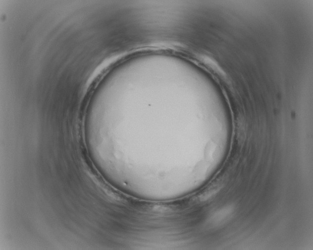 X0000060771412200512082022