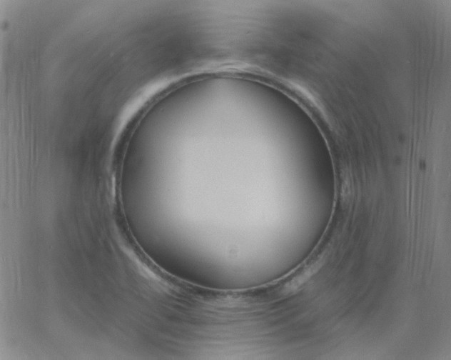 X0000060771414200512082022