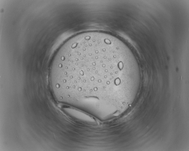 X0000060771415200512082022