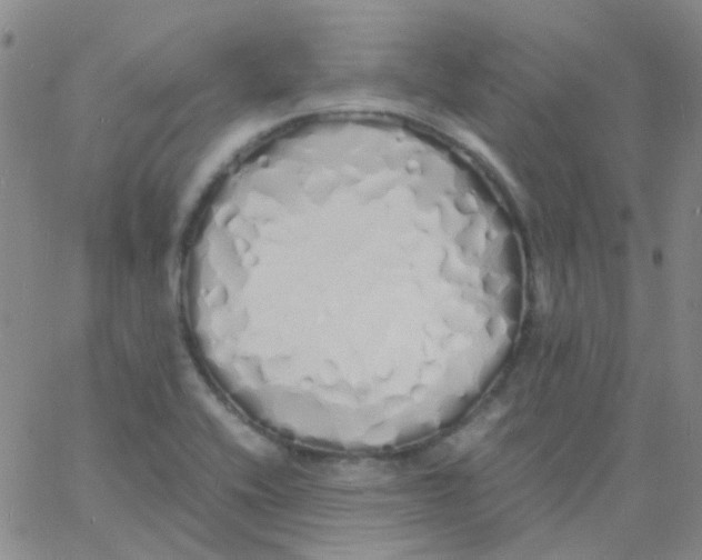 X0000060771416200512082022