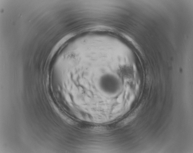 X0000060771418200512082022