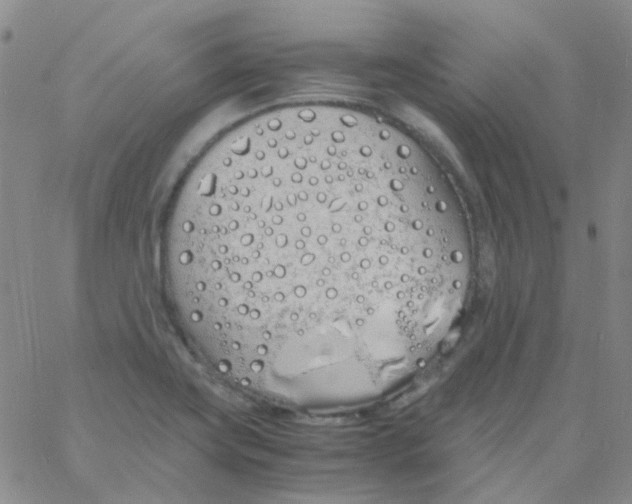 X0000060771419200512082022