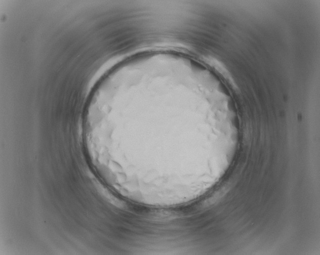 X0000060771420200512082022