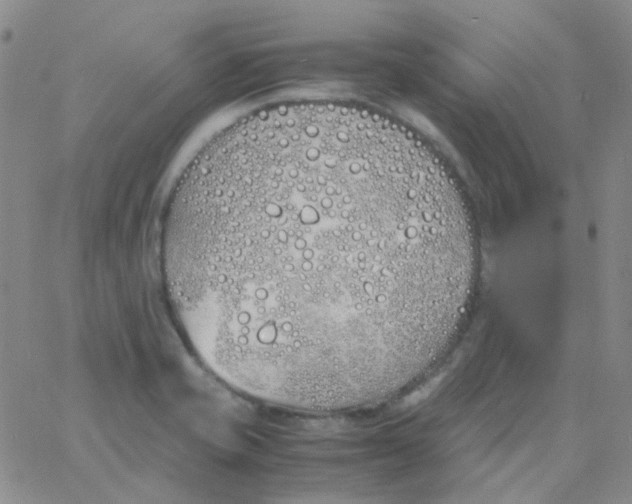 X0000060771421200512082022