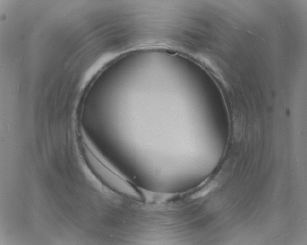 X0000060771422200512082022