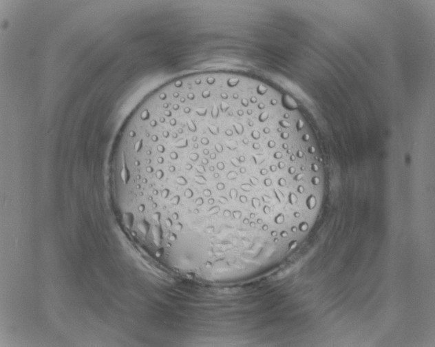 X0000060771423200512082022