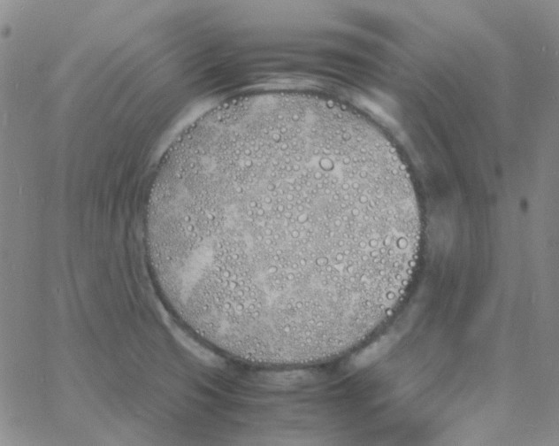 X0000060771425200512082022