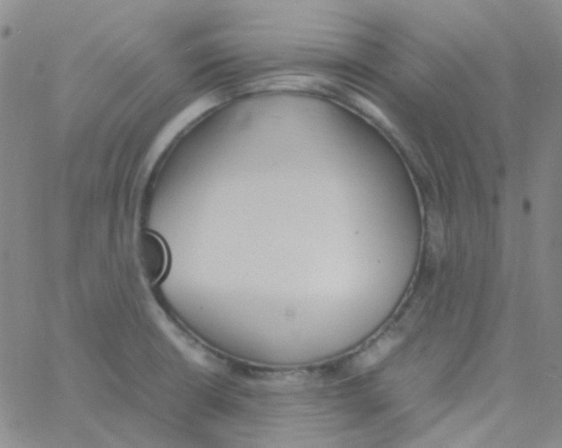 X0000060771426200512082022