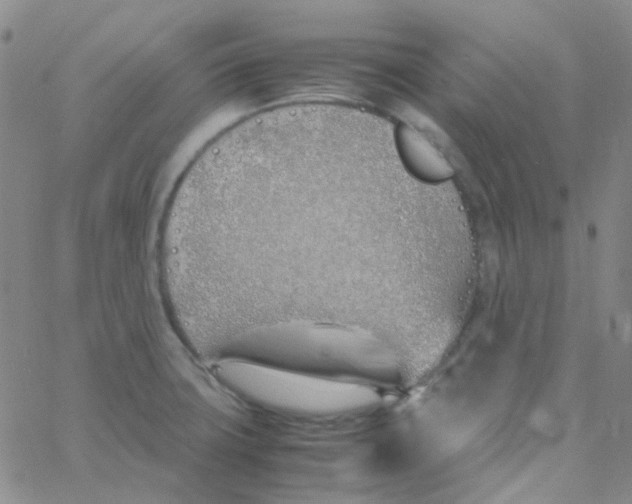 X0000060771427200512082022