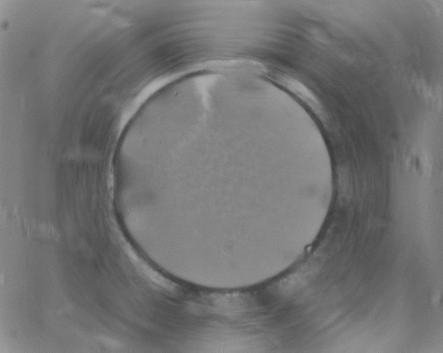 X0000060771428200512082022