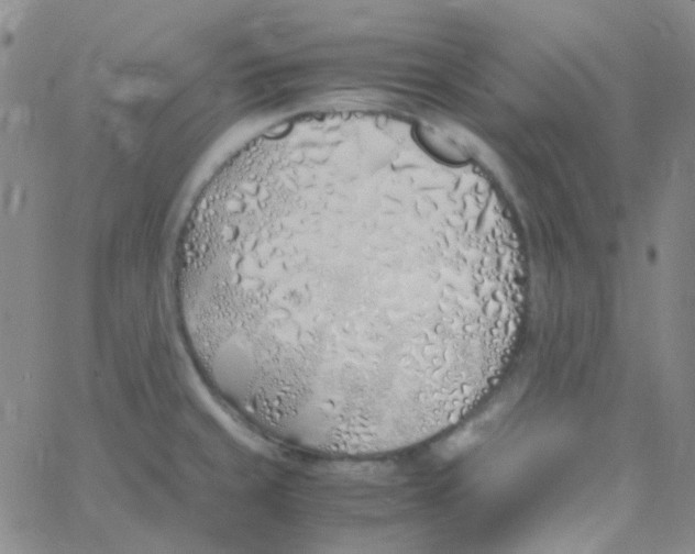 X0000060771429200512082022