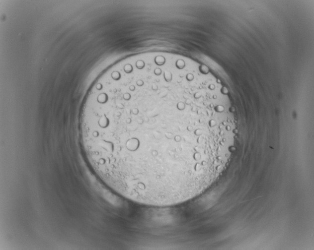 X0000060771431200512082022