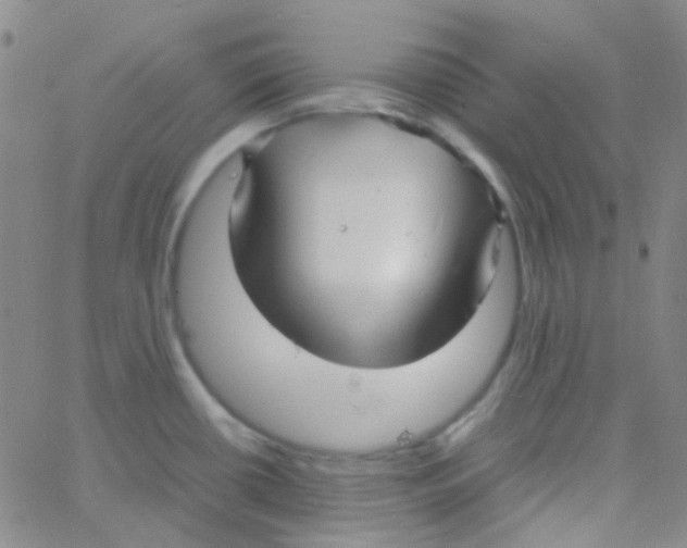 X0000060771434200512082022