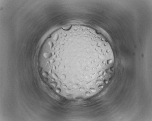 X0000060771435200512082022