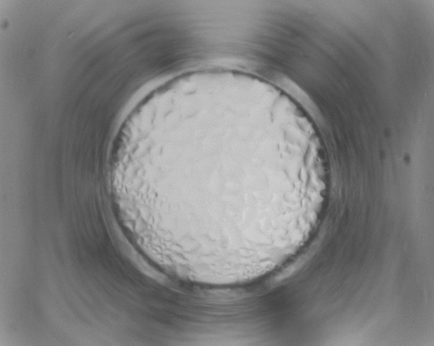 X0000060771436200512082022