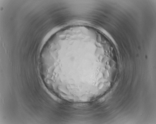 X0000060771437200512082022