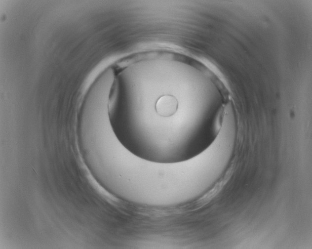 X0000060771438200512082022