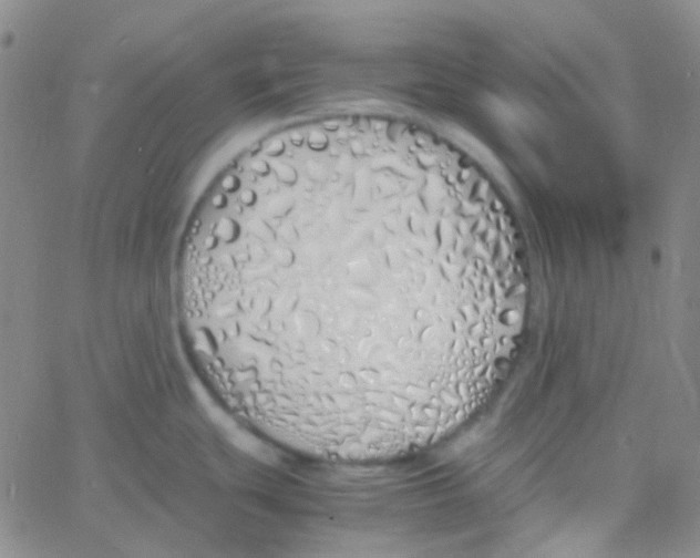 X0000060771439200512082022