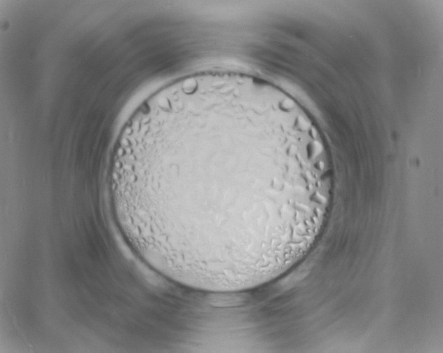 X0000060771440200512082022