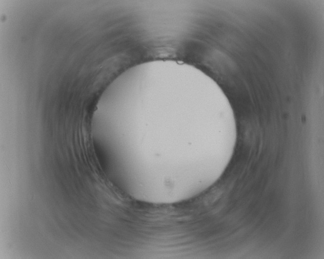 X0000060771442200512082021