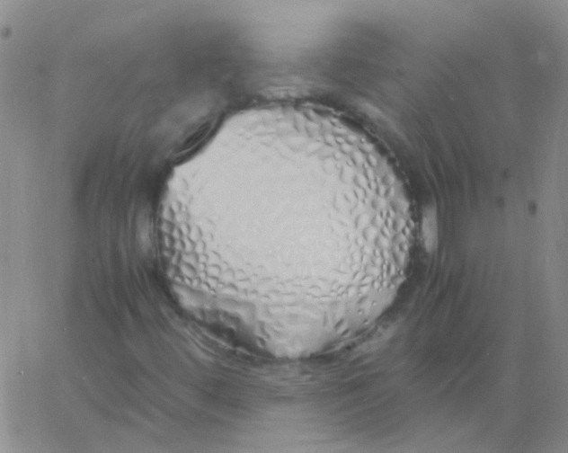 X0000060771444200512082021