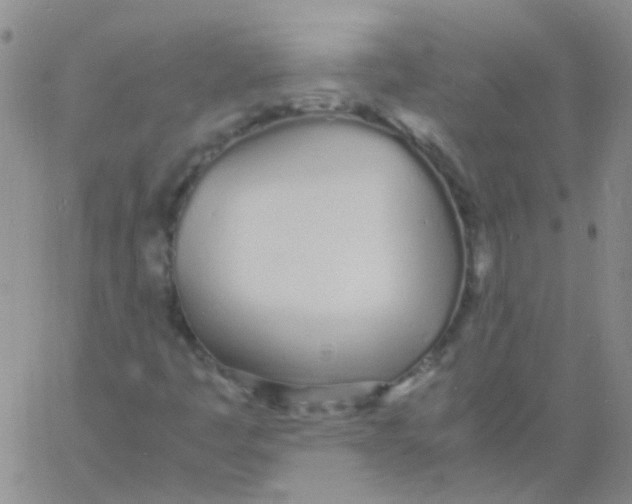 X0000060771445200512082021