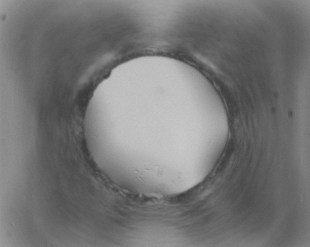 X0000060771447200512082021