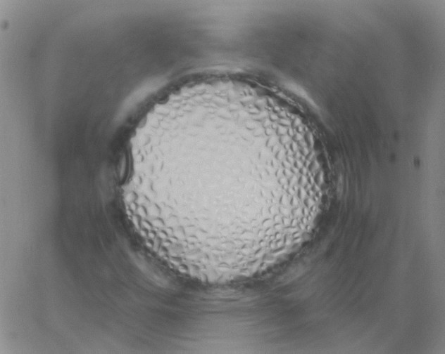 X0000060771448200512082021