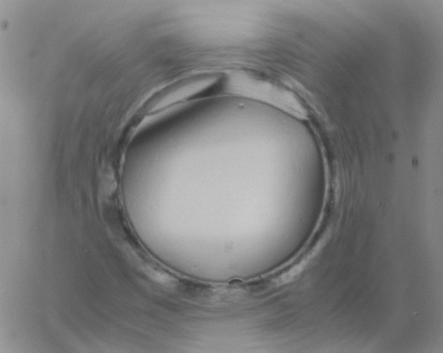 X0000060771449200512082021