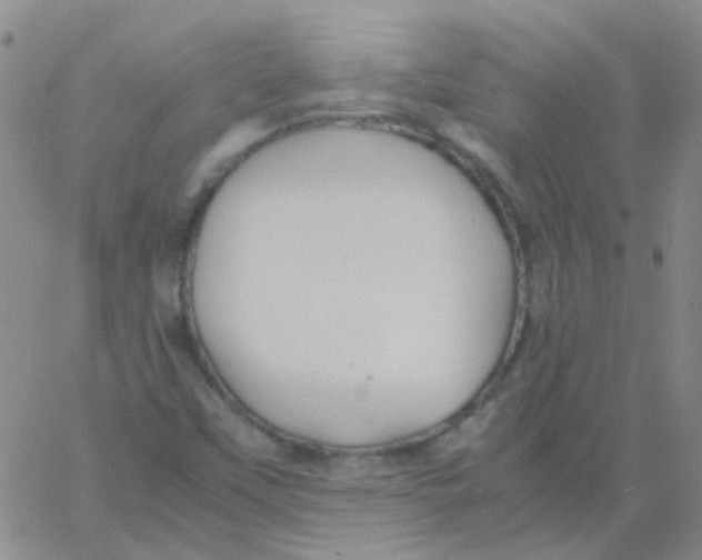 X0000060771451200512082021