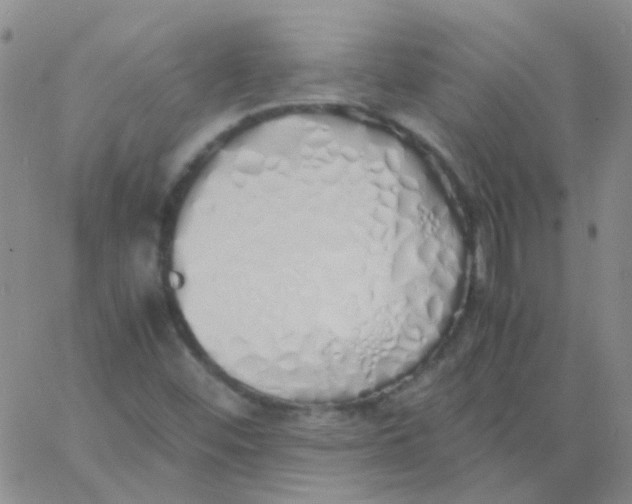 X0000060771452200512082021