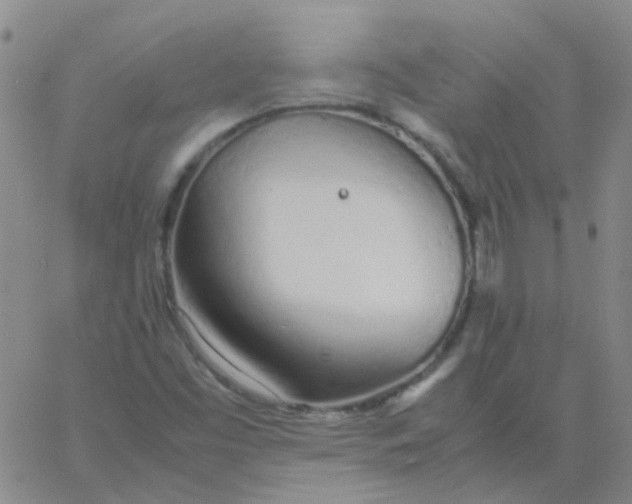 X0000060771453200512082021