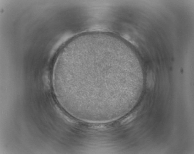 X0000060771454200512082021