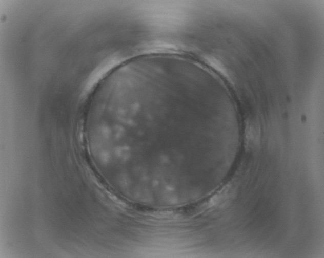 X0000060771455200512082021