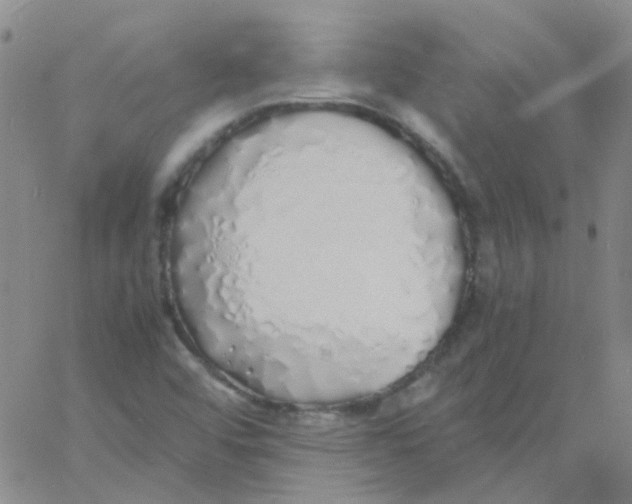 X0000060771456200512082021