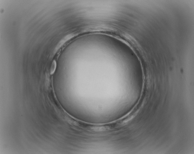 X0000060771457200512082021