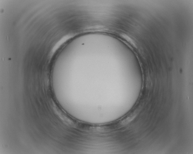 X0000060771458200512082021