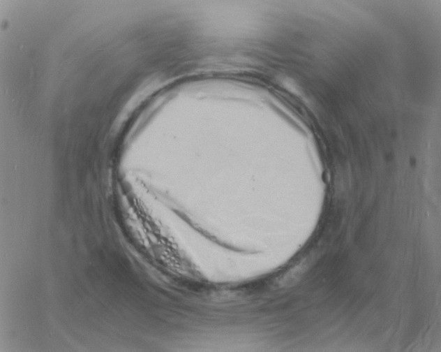 X0000060771459200512082021