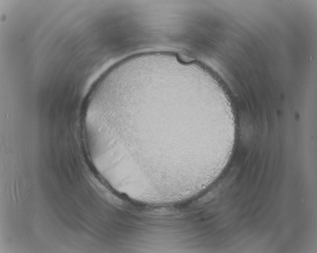 X0000060771460200512082021